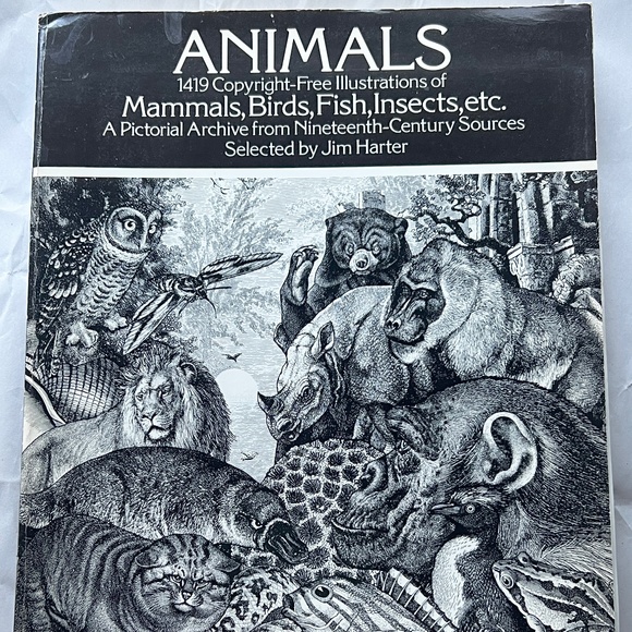 ANIMALS- WOOD ENGRAVINGS - Picture 1 of 7